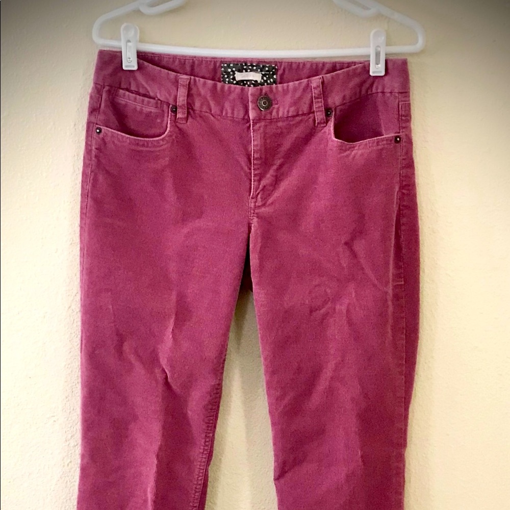 J.Crew Raspberry Bootcut Corduroy 29R Pant